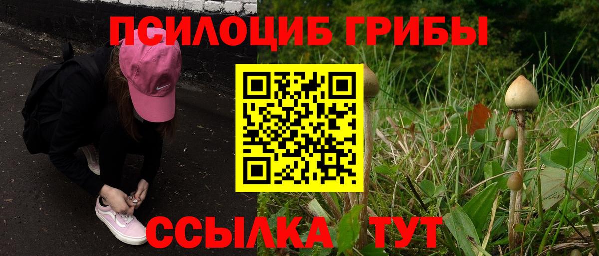 Псилоцибиновые грибы ЛСД  Вход с VPN  Галлюциногенные грибы мухоморы  Анжеро-Судженск 
