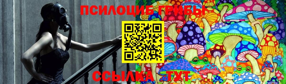 Галлюциногенные грибы Cubensis Анжеро-Судженск